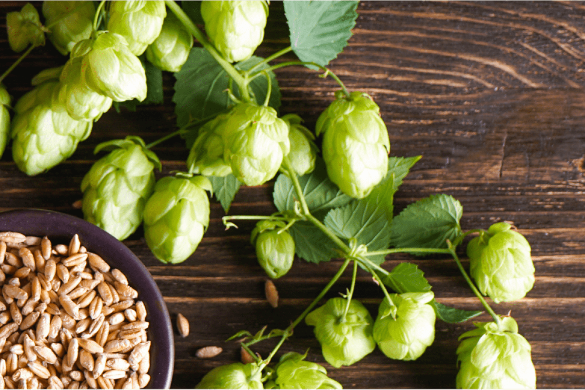 header_image_2x